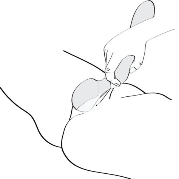 Zoa Intimmassager Schwarz von Shunga Toys kaufen | Fesselliebe