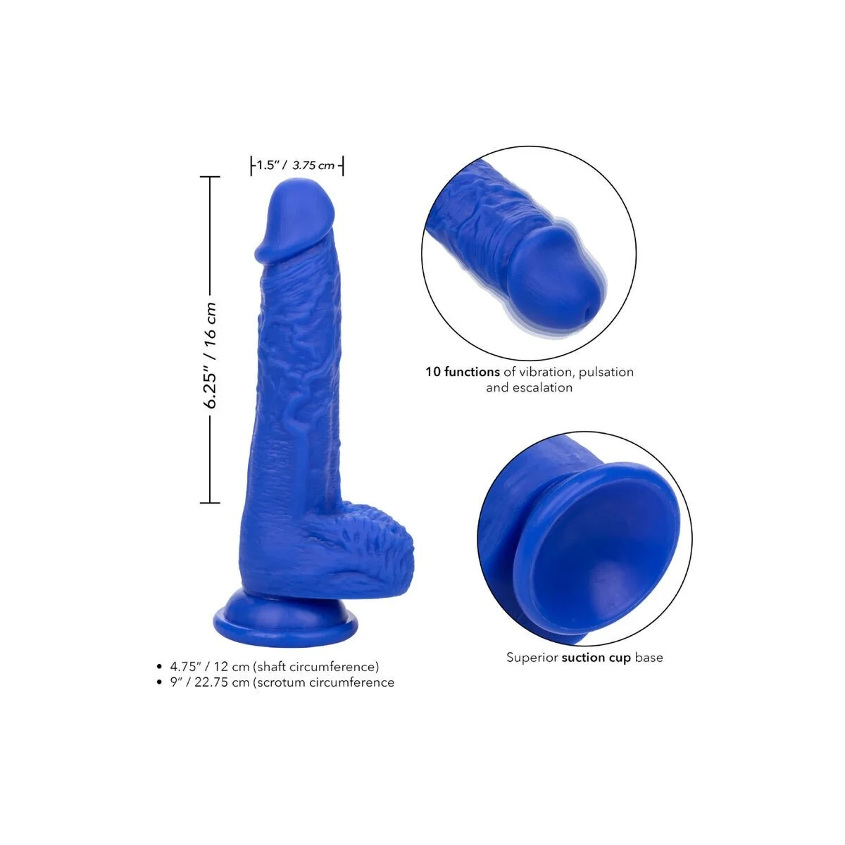 Admiral Sailor realistischer Dildo-Vibrator Blau von Calexotics kaufen | Fesselliebe