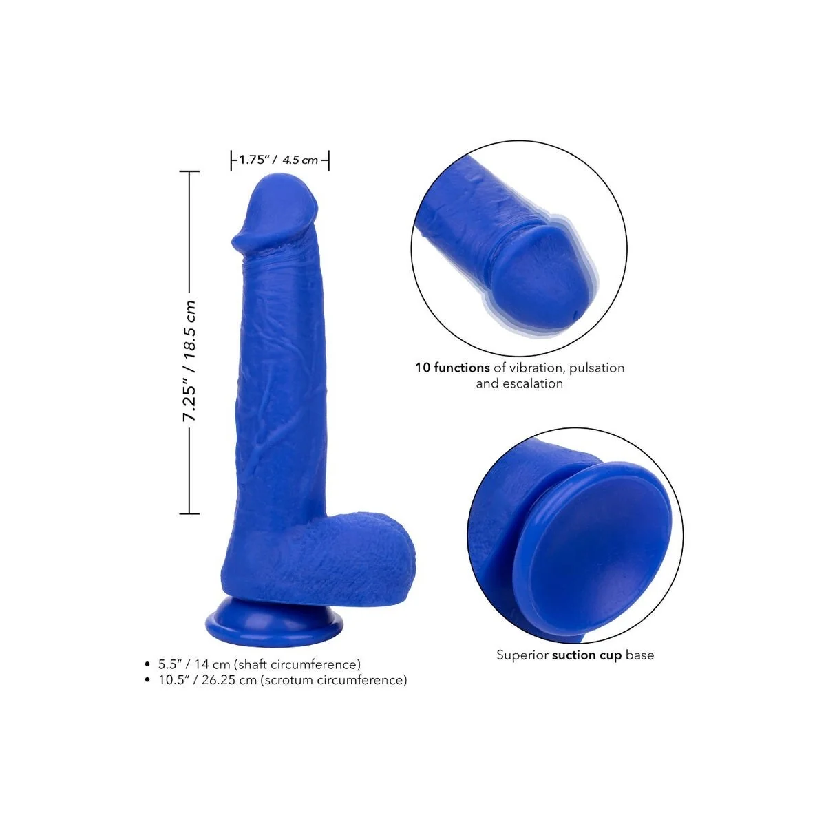 Admiral Kapitn realistischer Dildo-Vibrator Blau von Calexotics kaufen | Fesselliebe
