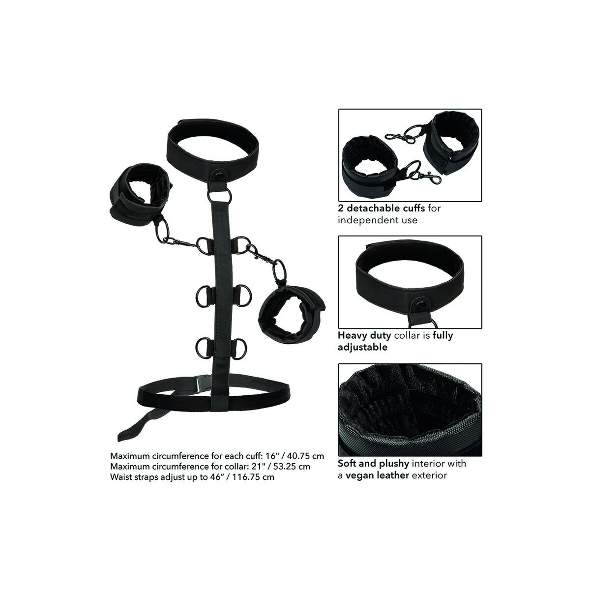 Boundless Kragenkörperführung von Calexotics kaufen | Fesselliebe