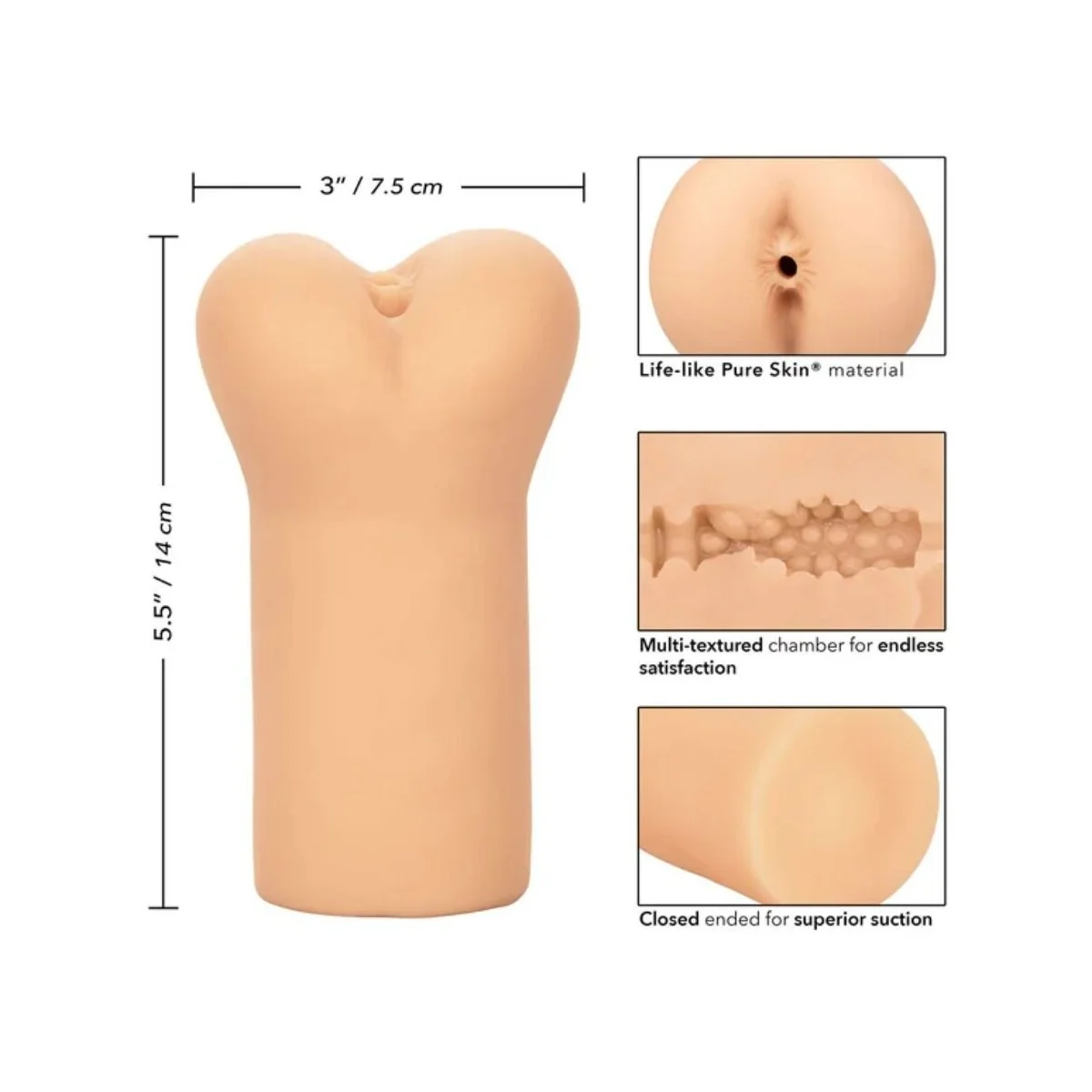 Boundless Anus-Brauen von Calexotics kaufen | Fesselliebe