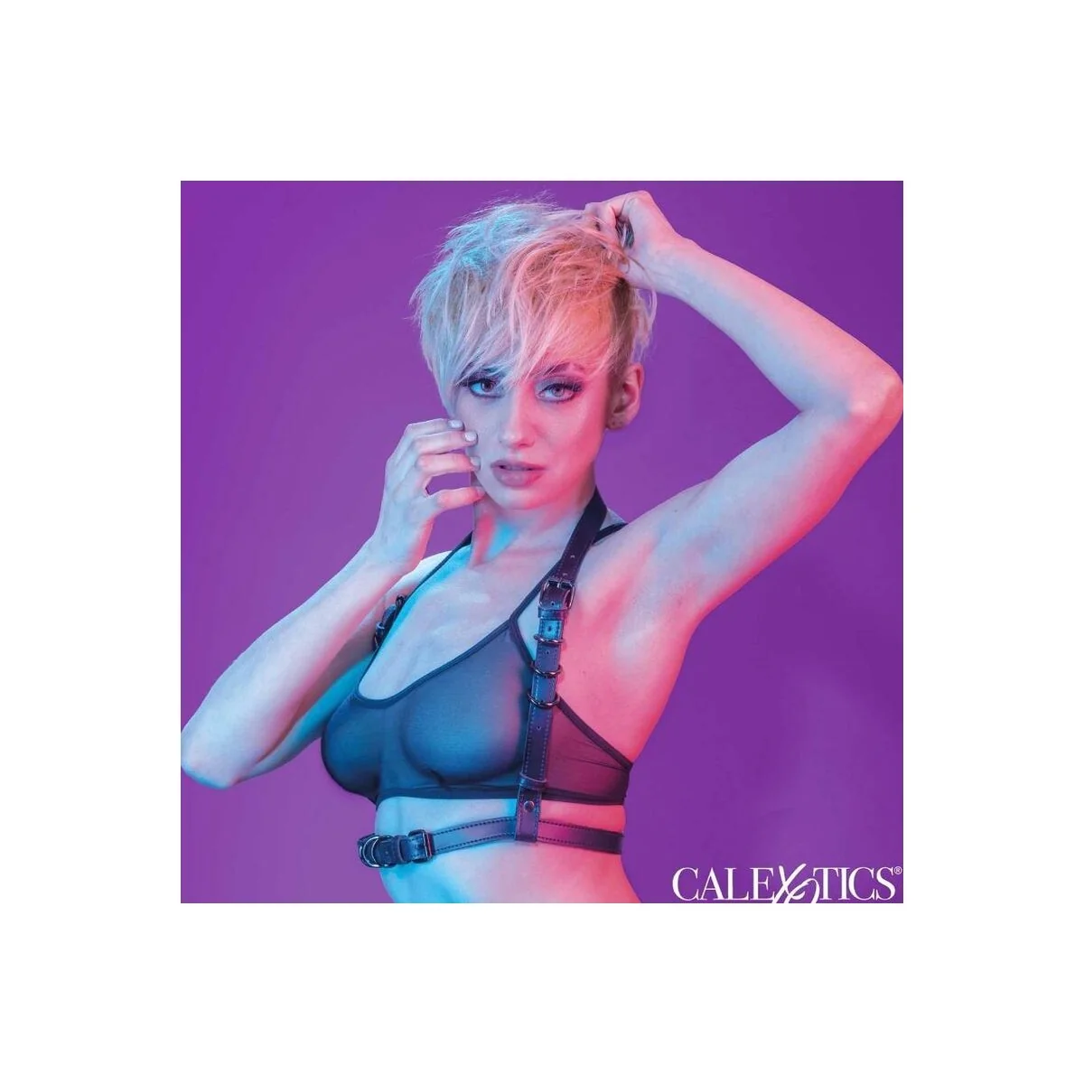 Euphoria Halfterschnallengeschirr Schwarz von Calexotics kaufen | Fesselliebe