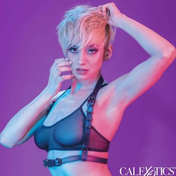 Euphoria Halfterschnallengeschirr Schwarz von Calexotics kaufen | Fesselliebe