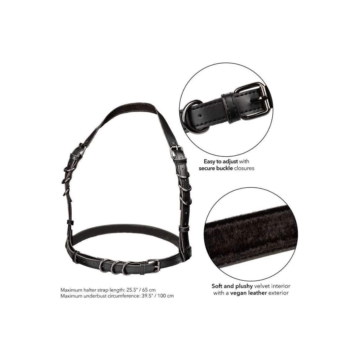 Euphoria Halfterschnallengeschirr Schwarz von Calexotics kaufen | Fesselliebe