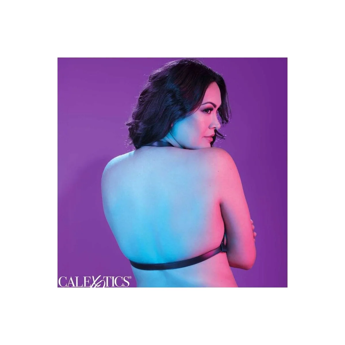 Euphoria Plus Size Halter Buckle Harness Schwarz von Calexotics kaufen | Fesselliebe