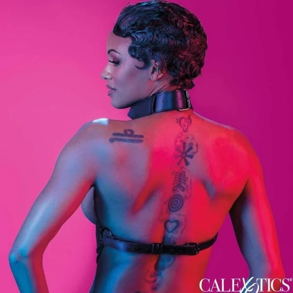 Euphoria Mehrkettenhalsbandgeschirr von Calexotics kaufen | Fesselliebe