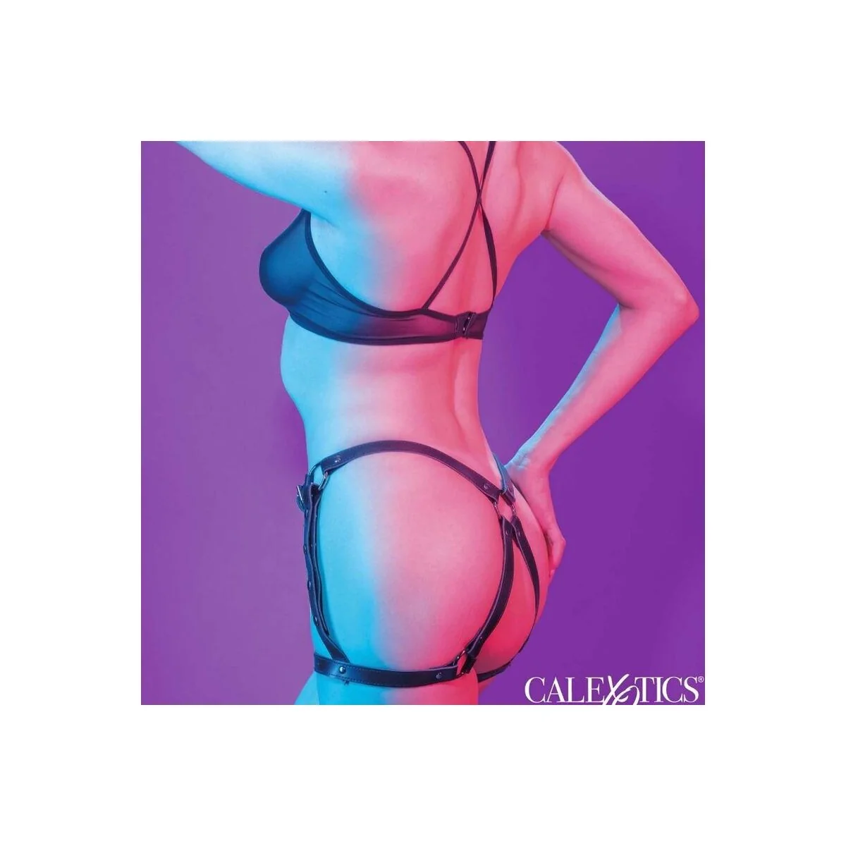 Euphoria-Reit-Oberteilgeschirr von Calexotics kaufen | Fesselliebe