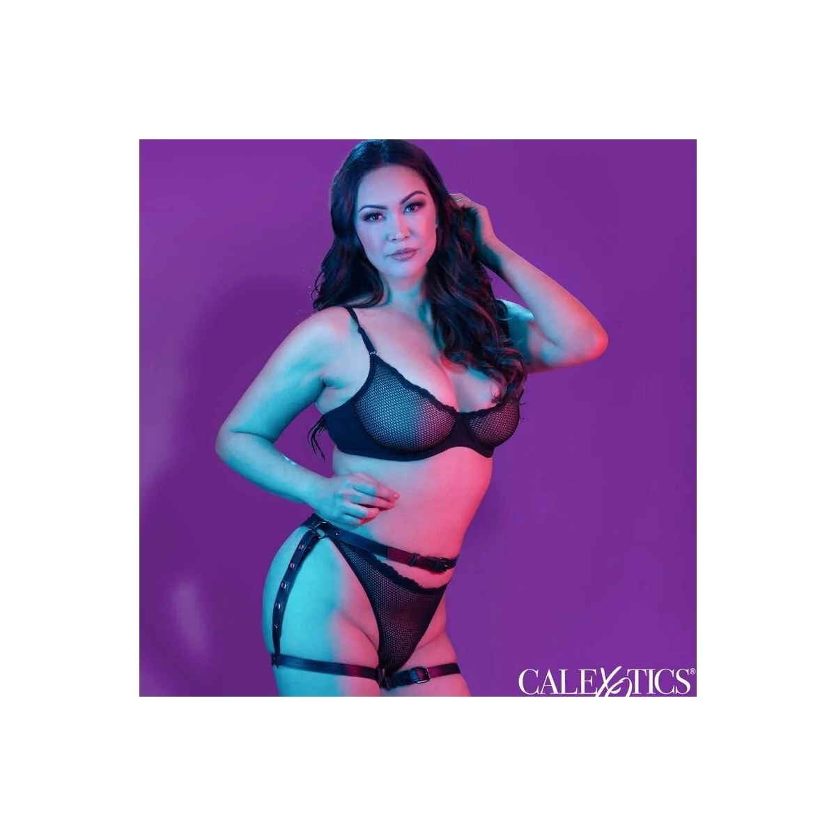 Euphoria Plus Size Reit-Oberkeitengurt von Calexotics kaufen | Fesselliebe