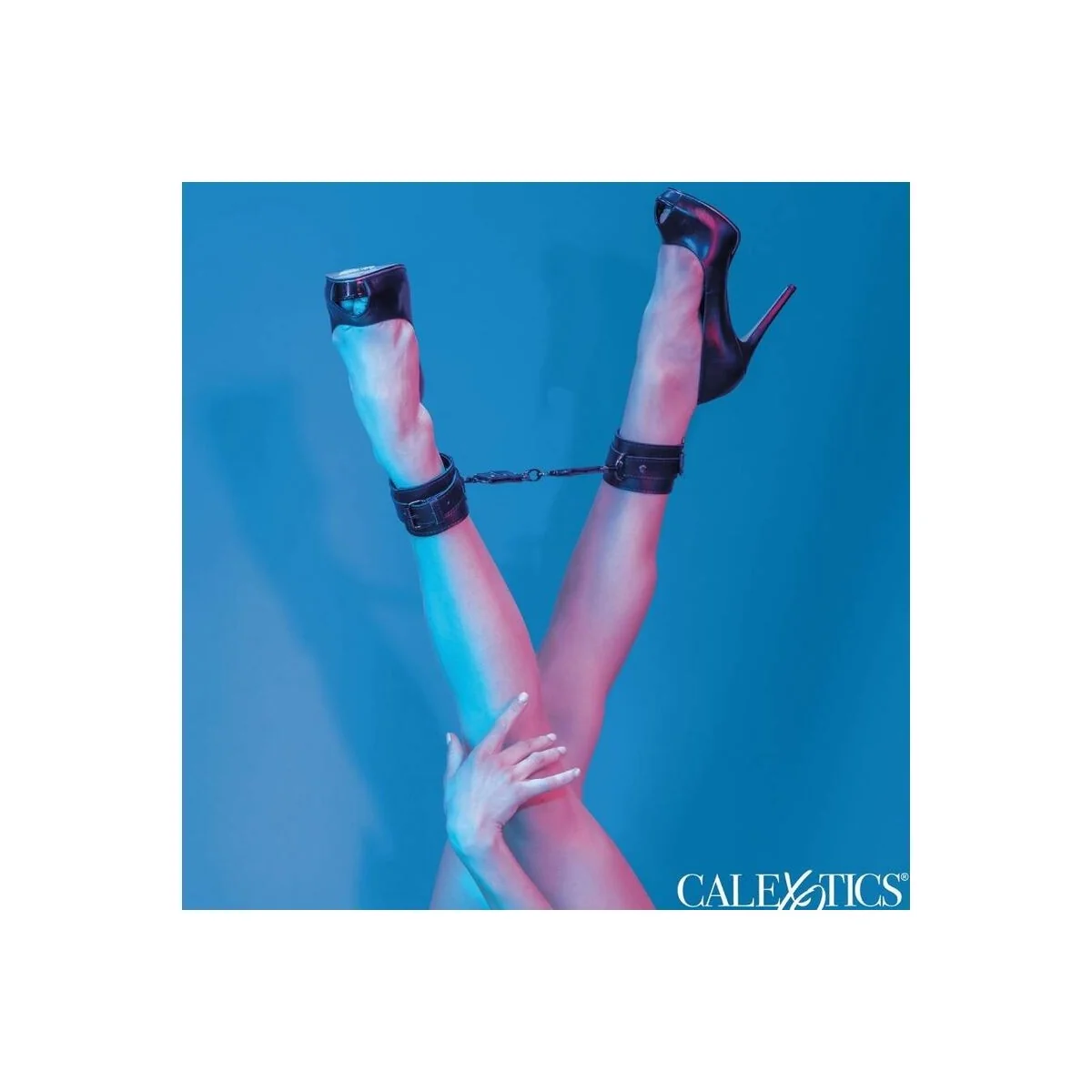 Euphoria Knöchel-Manschetten von Calexotics kaufen | Fesselliebe