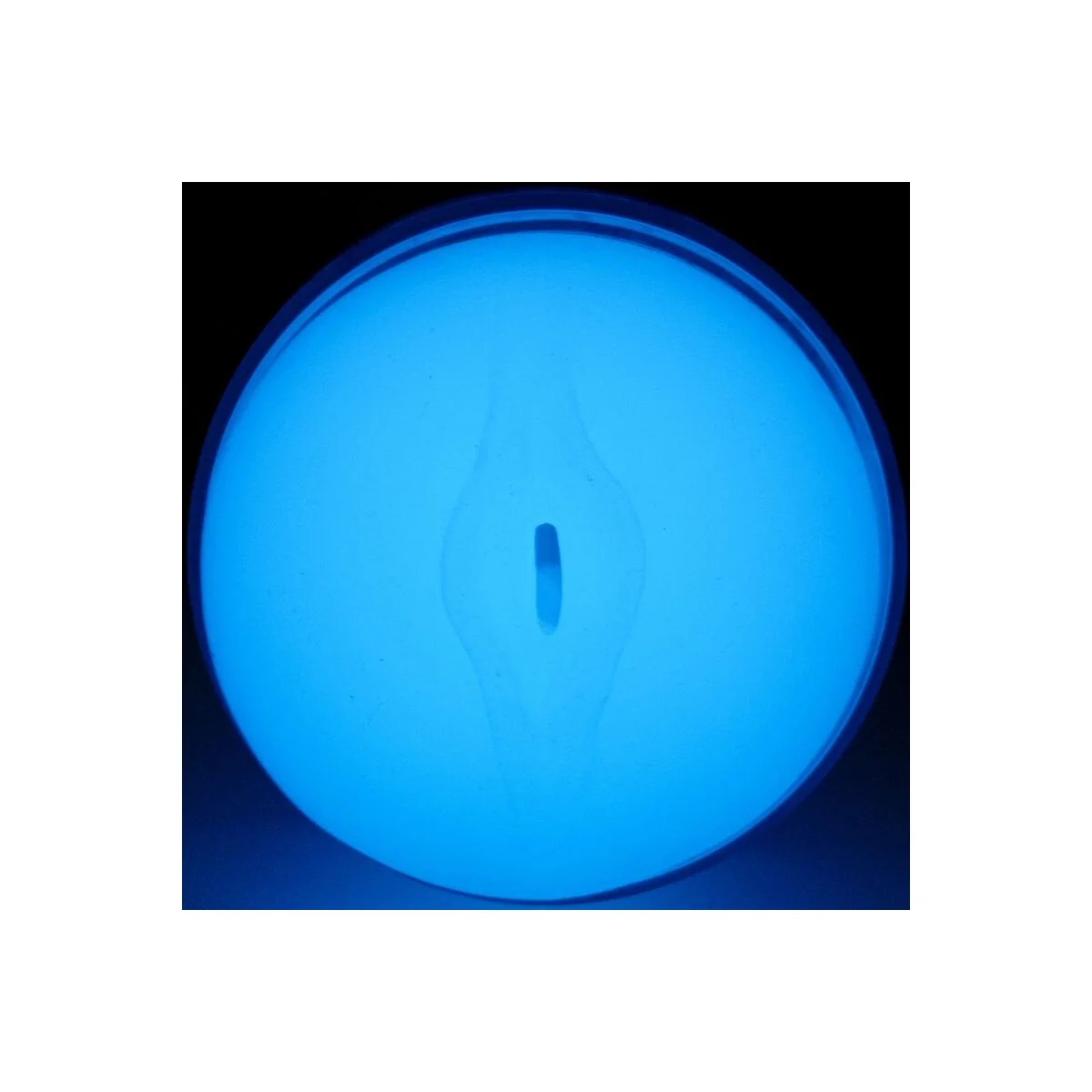 Fühlen Sie Einen Im Dunkeln Leuchtenden Stroker von Kiiroo kaufen | Fesselliebe