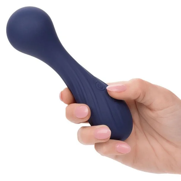 Charisma Temptation Massager 12 Funktionen Lila von Calexotics kaufen | Fesselliebe