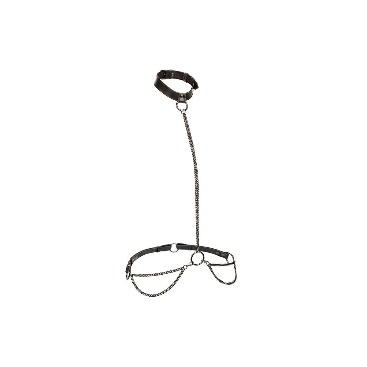 Euphoria Kettenhalfterhalsband und Leine von Calexotics kaufen | Fesselliebe