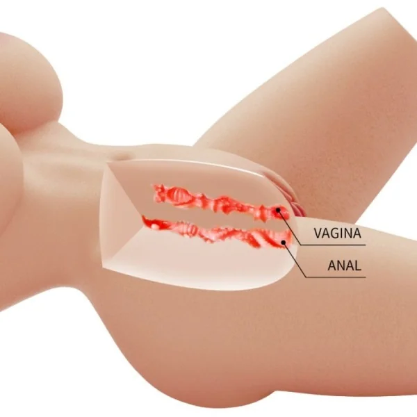 LILY REALISTISCHER WEIBLICHER TORSO VAGINA UND ANAL 4 KG VON CRAZY BULL