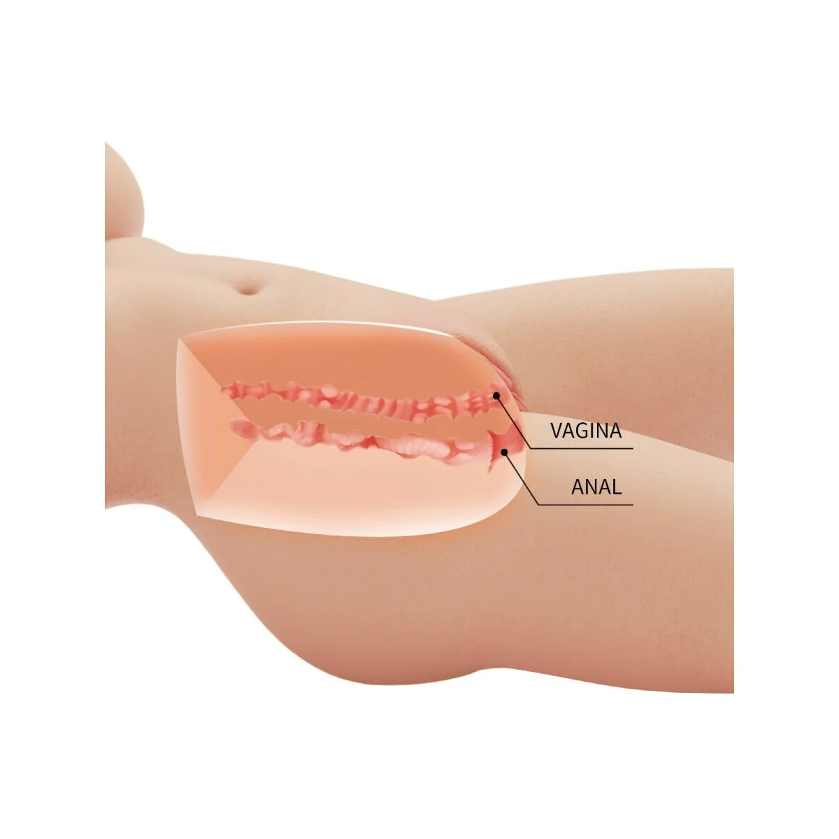 TIFFANY REALISTISCHER WEIBLICHER TORSO VAGINA UND ANAL 5,5 KG VON CRAZY BULL