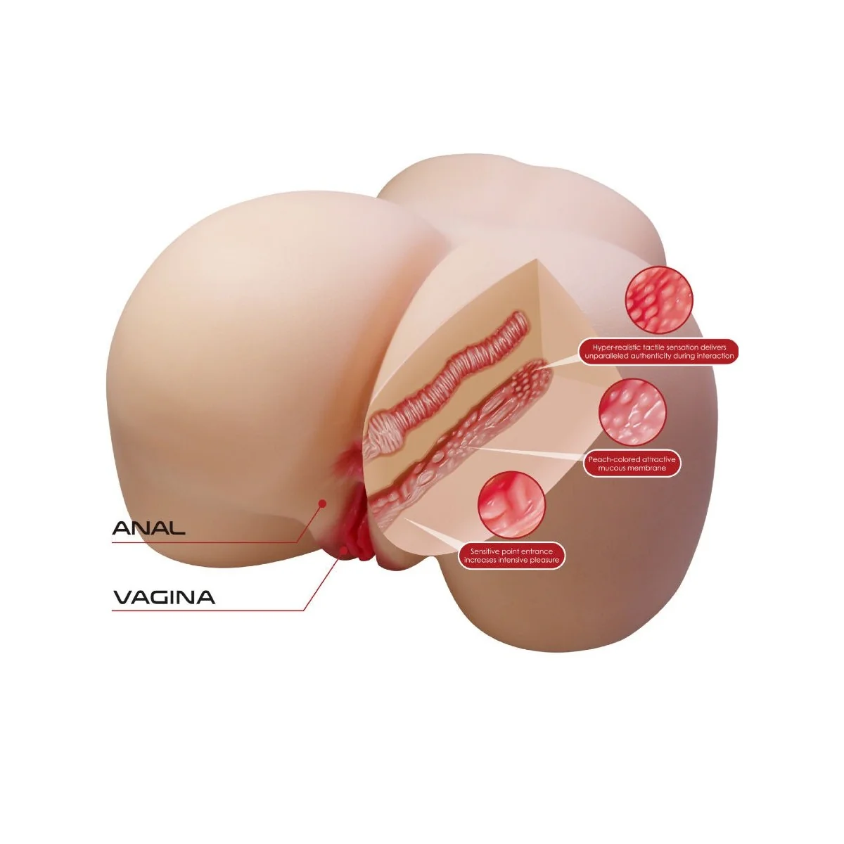 JULIA REALISTISCHER WEIBLICHER PO VAGINA UND ANAL 11 KG VON CRAZY BULL