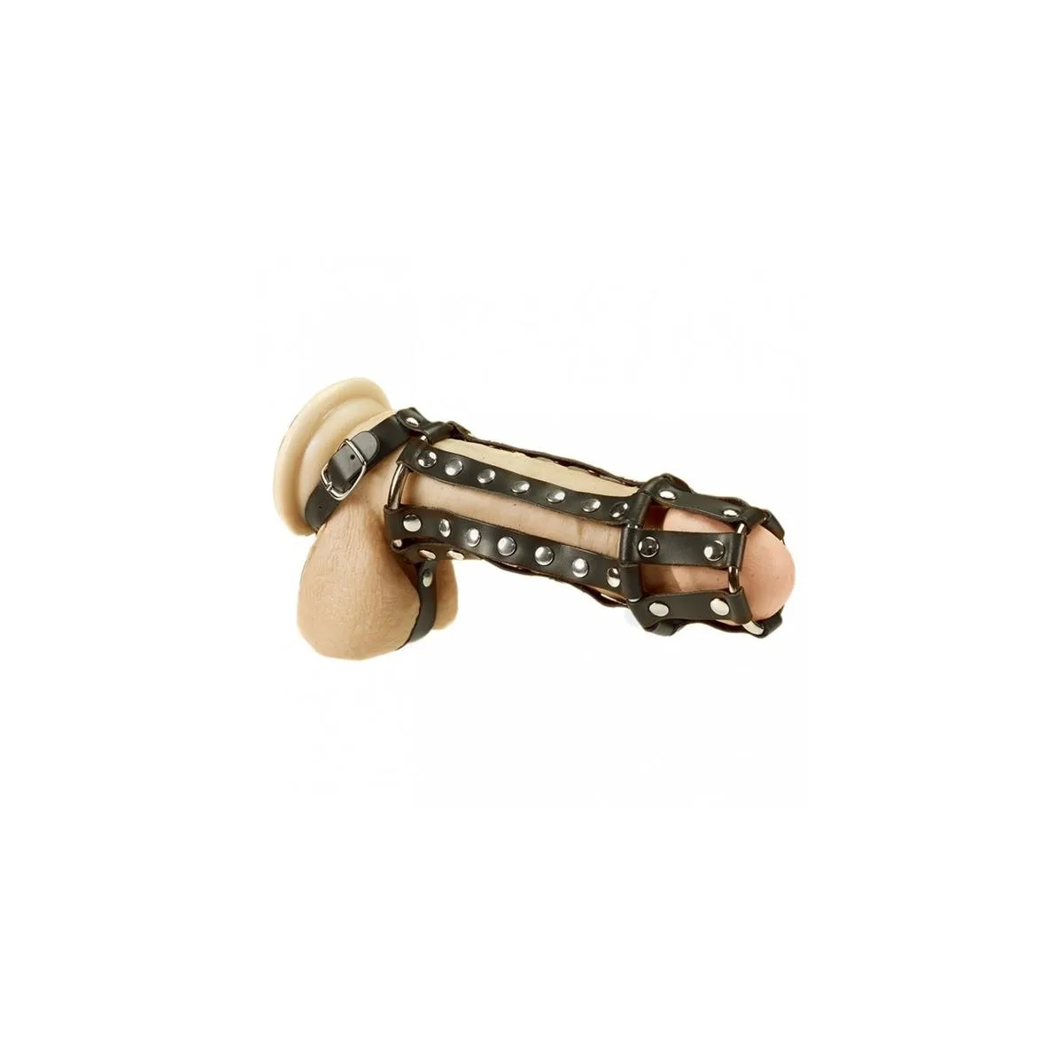 Penis- und Hodengeschirr von Bondage Play | Fesselliebe.de