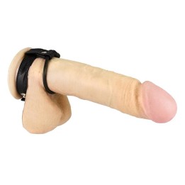 Bondage Play Penis- und Hodengurt von Bondage Play | Fesselliebe.de