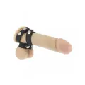 Leder-Penis- und Hodenband von Bondage Play