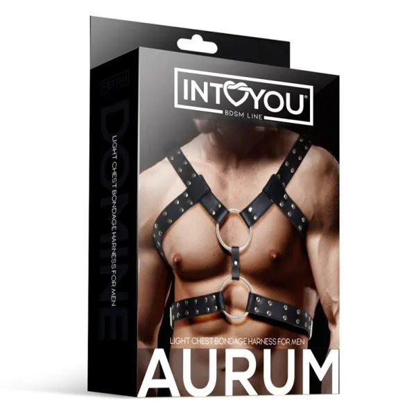 Aurum Bondage-Harness für Männer aus Veganem Leder von Intoyou BDSM Line | Fesselliebe.de