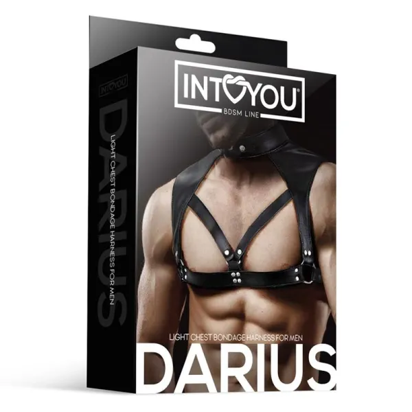 Darius Brust-Bondage-Harness für Männer aus Veganem Leder von Intoyou BDSM Line | Fesselliebe.de