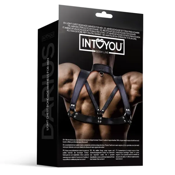 Darius Brust-Bondage-Harness für Männer aus Veganem Leder von Intoyou BDSM Line | Fesselliebe.de