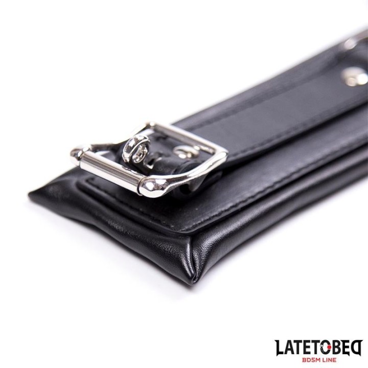 Gepolstertes Halsband mit Leine von Latetobed BDSM Line | Fesselliebe.de
