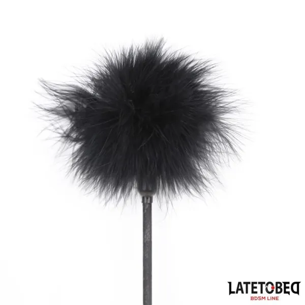 Feder-Kitzler und Spitzenband-Paddel von Latetobed BDSM Line | Fesselliebe.de