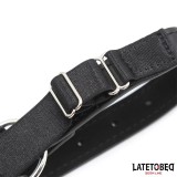 Kopfgeschirr mit Ballknebel und Nasenhaken von Latetobed BDSM Line | Fesselliebe.de