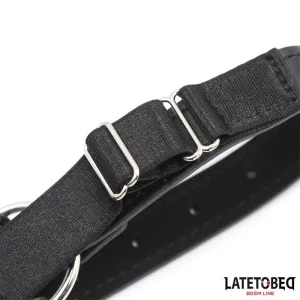 Kopfgeschirr mit Ballknebel und Nasenhaken von Latetobed BDSM Line