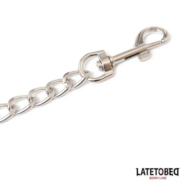 Metallkette Leine Pink 65 cm von Latetobed BDSM Line | Fesselliebe.de