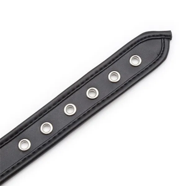 Halsband mit Reifen Schwarz von Latetobed BDSM Line | Fesselliebe.de
