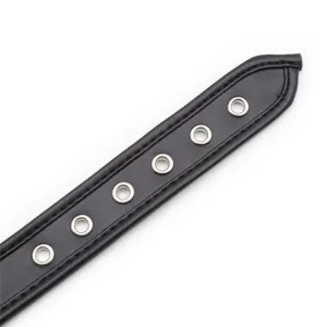 Halsband mit Reifen Schwarz von Latetobed BDSM Line