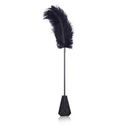 Feder-Kitzler und Paddel mit Spitze 2 In 1 56 cm Schwarz von Latetobed BDSM Line | Fesselliebe.de