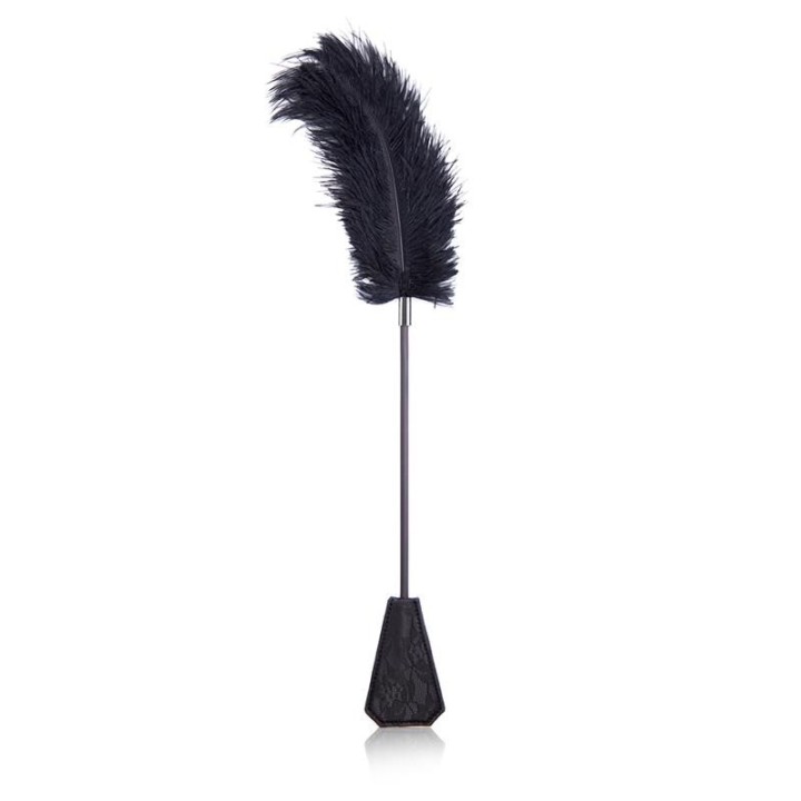 Feder-Kitzler und Paddel mit Spitze 2 In 1 56 cm Schwarz von Latetobed BDSM Line | Fesselliebe.de