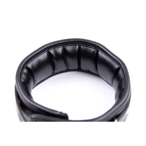 Halsband mit Metallleine und Gepolstertem Innenfutter Schwarz von Latetobed BDSM Line