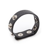 Verstellbarer Penisring 21 cm X 2 cm von Latetobed BDSM Line | Fesselliebe.de