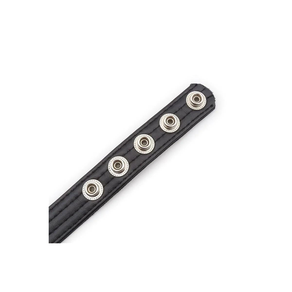 Verstellbarer Penisring 21 cm X 2 cm von Latetobed BDSM Line | Fesselliebe.de