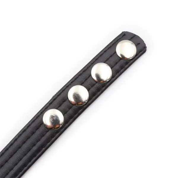 Verstellbarer Penisring 21 cm X 2 cm von Latetobed BDSM Line | Fesselliebe.de