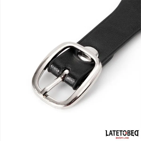 Halsband mit Glocke und Leine von Latetobed BDSM Line | Fesselliebe.de