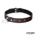 Halsband mit Leine 52 cm von Latetobed BDSM Line