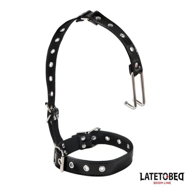 Halsband mit Nasenhaken von Latetobed BDSM Line | Fesselliebe.de