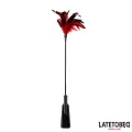 2-In-1-Paddel mit Feder von Latetobed BDSM Line