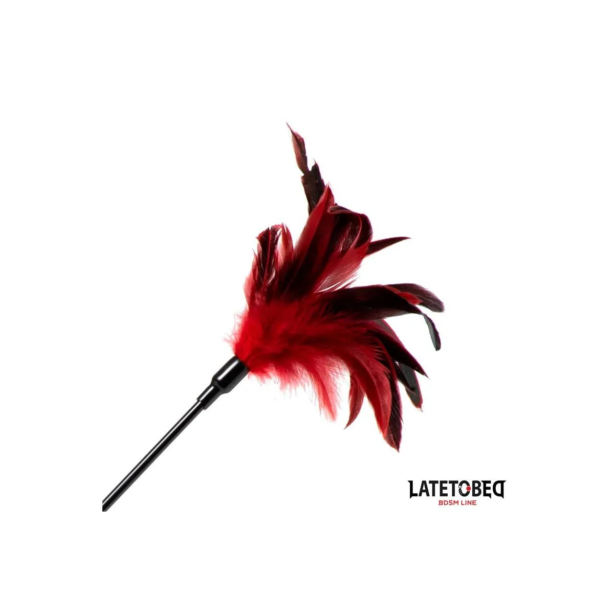 2-In-1-Paddel mit Feder von Latetobed BDSM Line | Fesselliebe.de