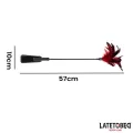 2-In-1-Paddel mit Feder von Latetobed BDSM Line