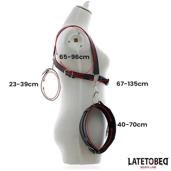 Fesseln für Gespreizte Beine von Latetobed BDSM Line | Fesselliebe.de