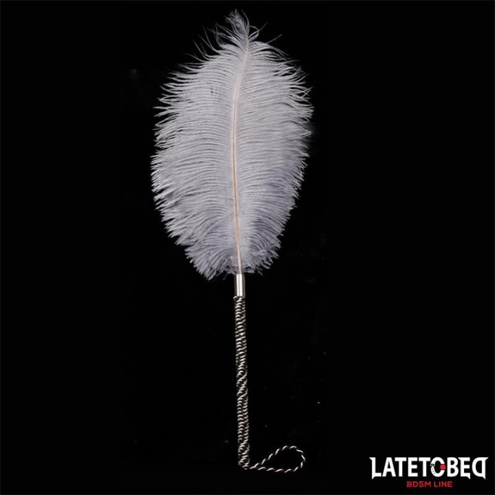 Straussenfeder 44 cm von Latetobed BDSM Line | Fesselliebe.de