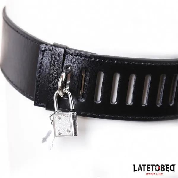 Verstellbare Keuschheitshose von Latetobed BDSM Line | Fesselliebe.de