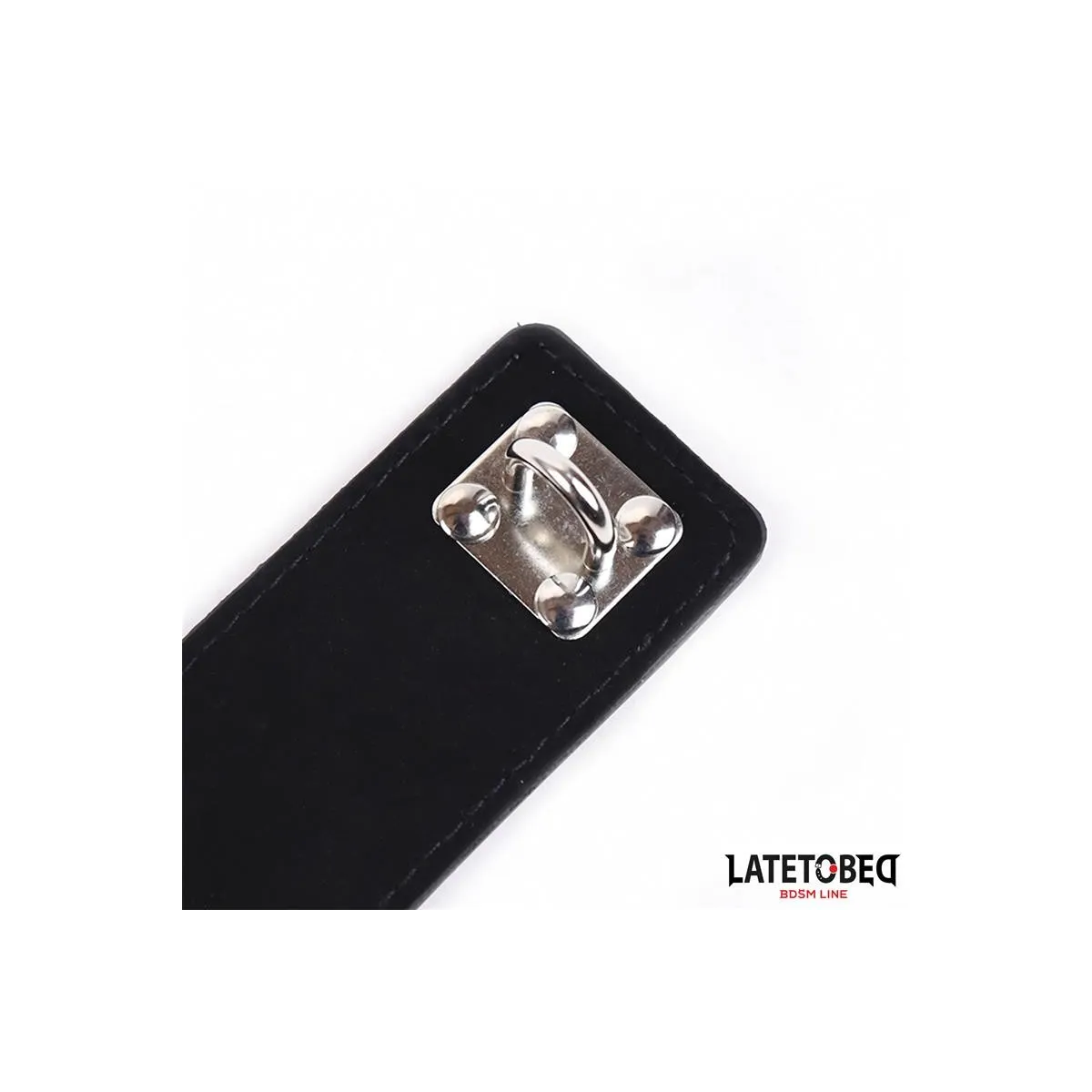 Verstellbare Keuschheitshose von Latetobed BDSM Line | Fesselliebe.de
