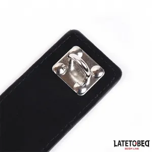 Verstellbare Keuschheitshose von Latetobed BDSM Line