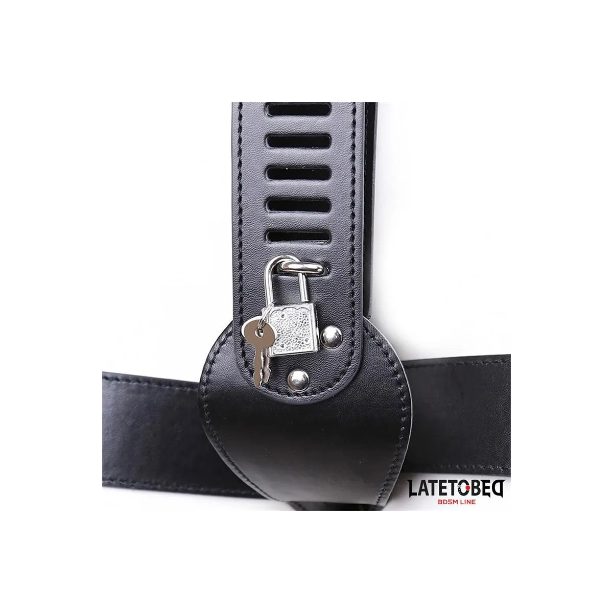 Verstellbare Keuschheitshose von Latetobed BDSM Line | Fesselliebe.de